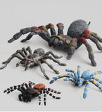 New simulation big spider