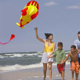 Frameless Dolphin Whale Kite