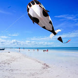 Frameless Dolphin Whale Kite