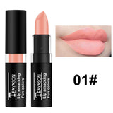 Waterproof velvet matte lipstick