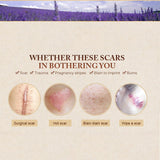 Scar Repair Lavender Essence