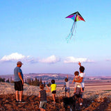 Classic large kite