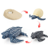 Insect growth cycle model