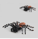 New simulation big spider
