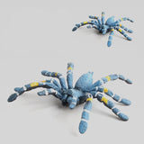 New simulation big spider