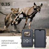 IP65 waterproof hunting camera