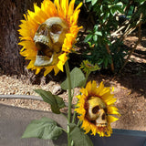 Sunflower skull decoration