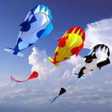Frameless Dolphin Whale Kite
