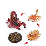 Insect growth cycle model