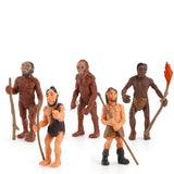 Insect growth cycle model