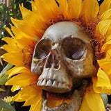 Sunflower skull decoration