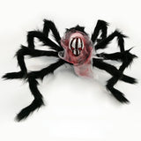 Halloween giant black spider