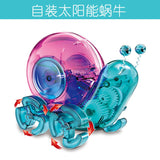 DIY experimental intelligent robot