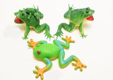 Frog model props