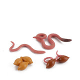 Insect growth cycle model