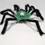 Halloween giant black spider