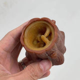 Decompression squirrel toy