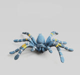 New simulation big spider
