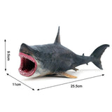 Ocean shark model