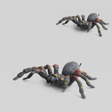 New simulation big spider