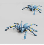 New simulation big spider